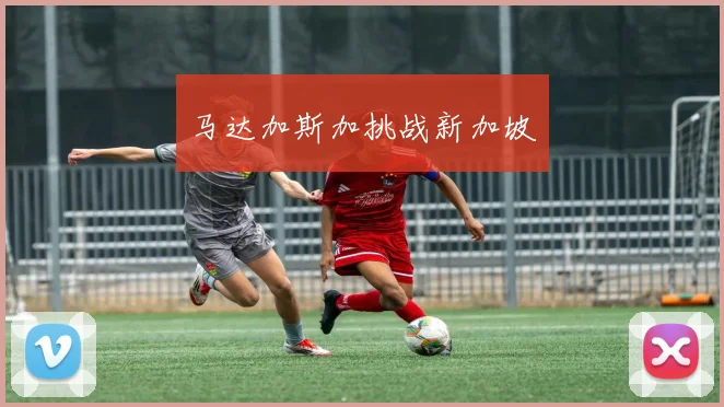 马达加斯加挑战新加坡
