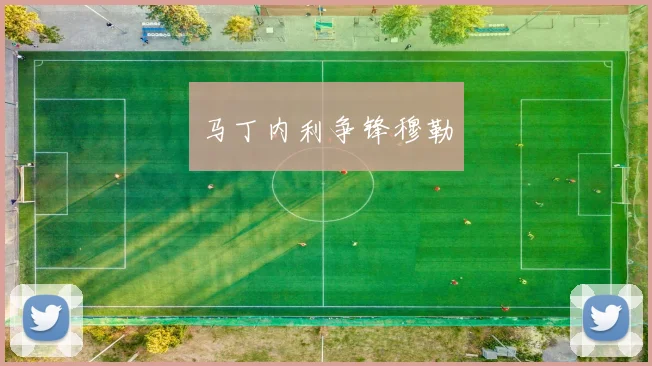 马丁内利争锋穆勒
