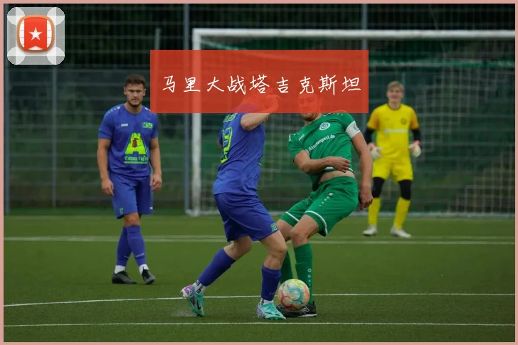 马里大战塔吉克斯坦