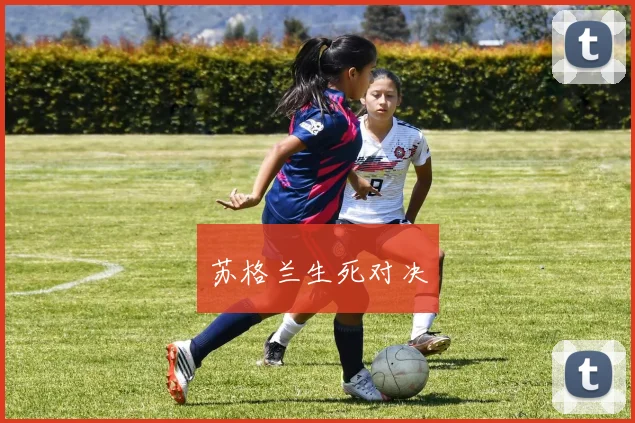 苏格兰生死对决