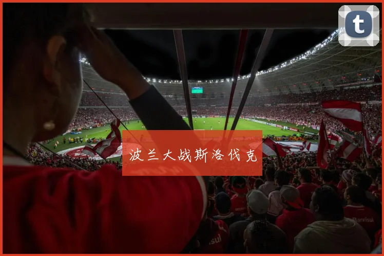 波兰大战斯洛伐克