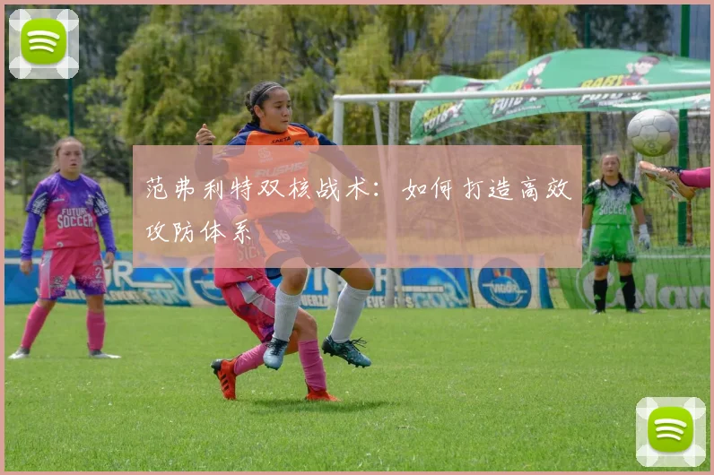范弗利特双核战术：如何打造高效攻防体系