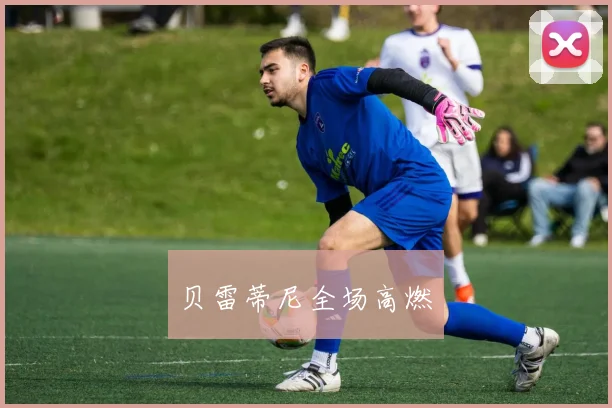 贝雷蒂尼全场高燃