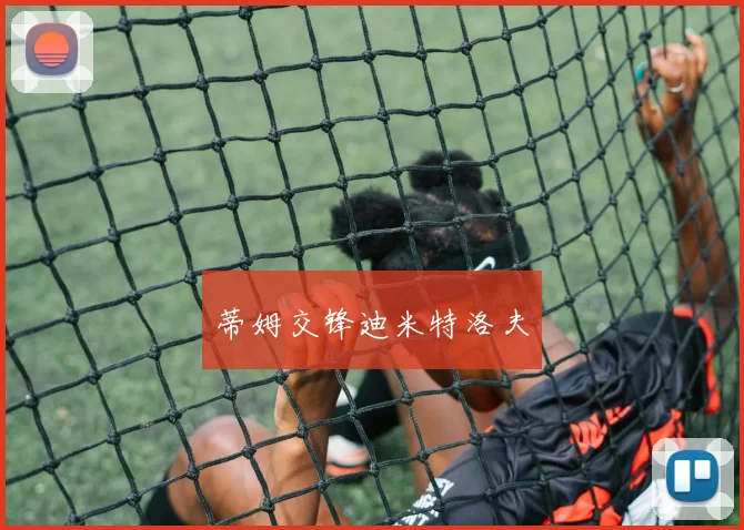 蒂姆交锋迪米特洛夫