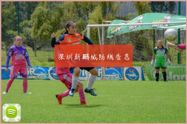 深圳新鹏城防线告急
