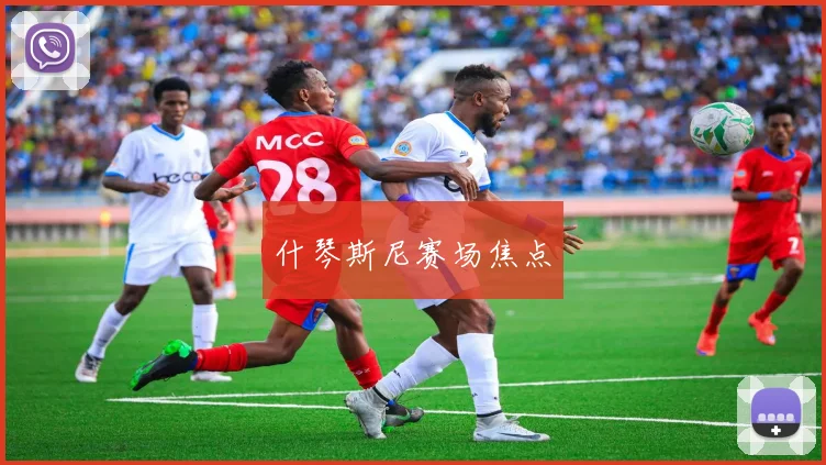 什琴斯尼赛场焦点