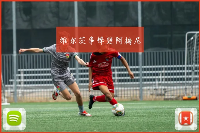 维尔茨争锋楚阿梅尼