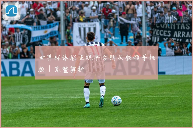 世界杯体彩正规平台购买教程手机版｜完整解析