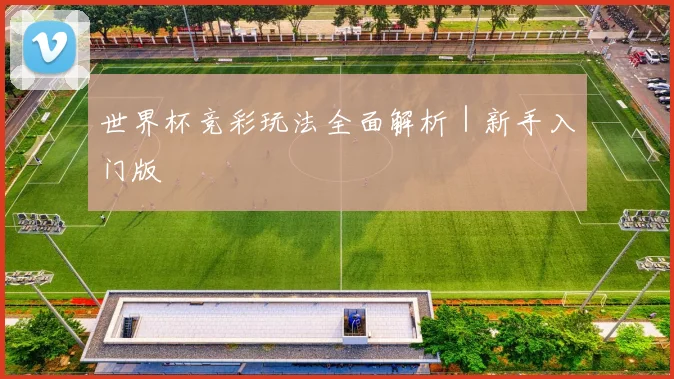 世界杯竞彩玩法全面解析｜新手入门版