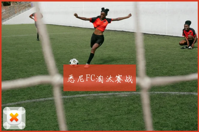 悉尼FC淘汰赛战