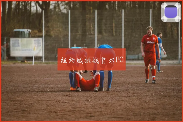 纽约城挑战首尔FC