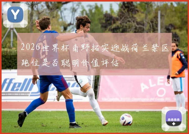 2026世界杯南野拓实迎战荷兰禁区跑位是否聪明价值评估